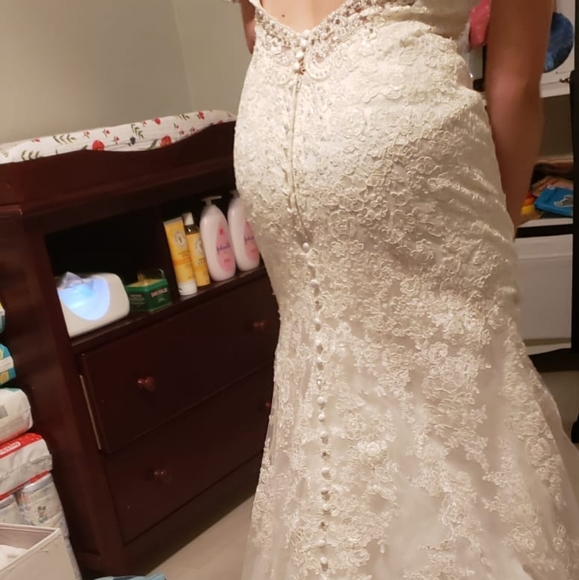 Wedding Dress / Gown - Picture 3 of 6